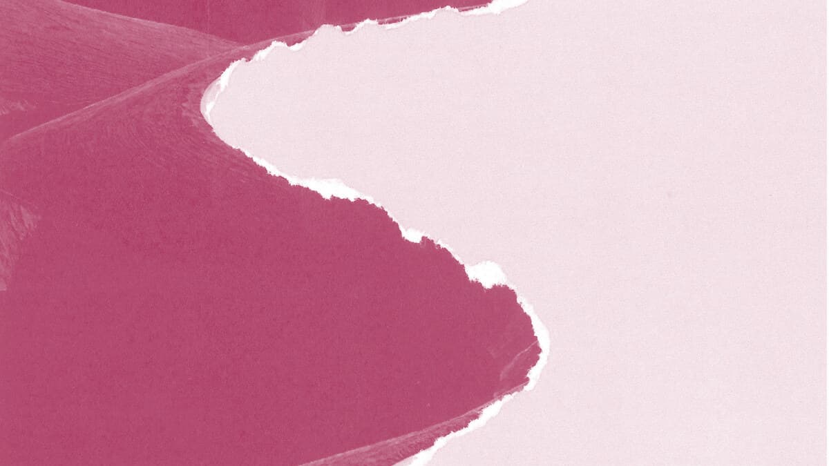 Acemoglu: KI jagt das falsche Ziel